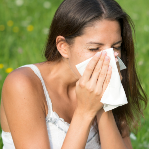 Guide Pollen Allergies